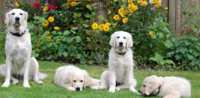 Jule, Maya und Luke